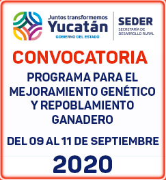 convocatoria Mejoramiento Genético Covid septiembre 2020